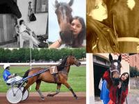 Modena, sabato le Lady del trotto si sfidano senza frusta Modena, sabato le Lady del trotto si sfidano senza frusta